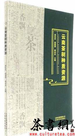 《云南茶樹種質資源》